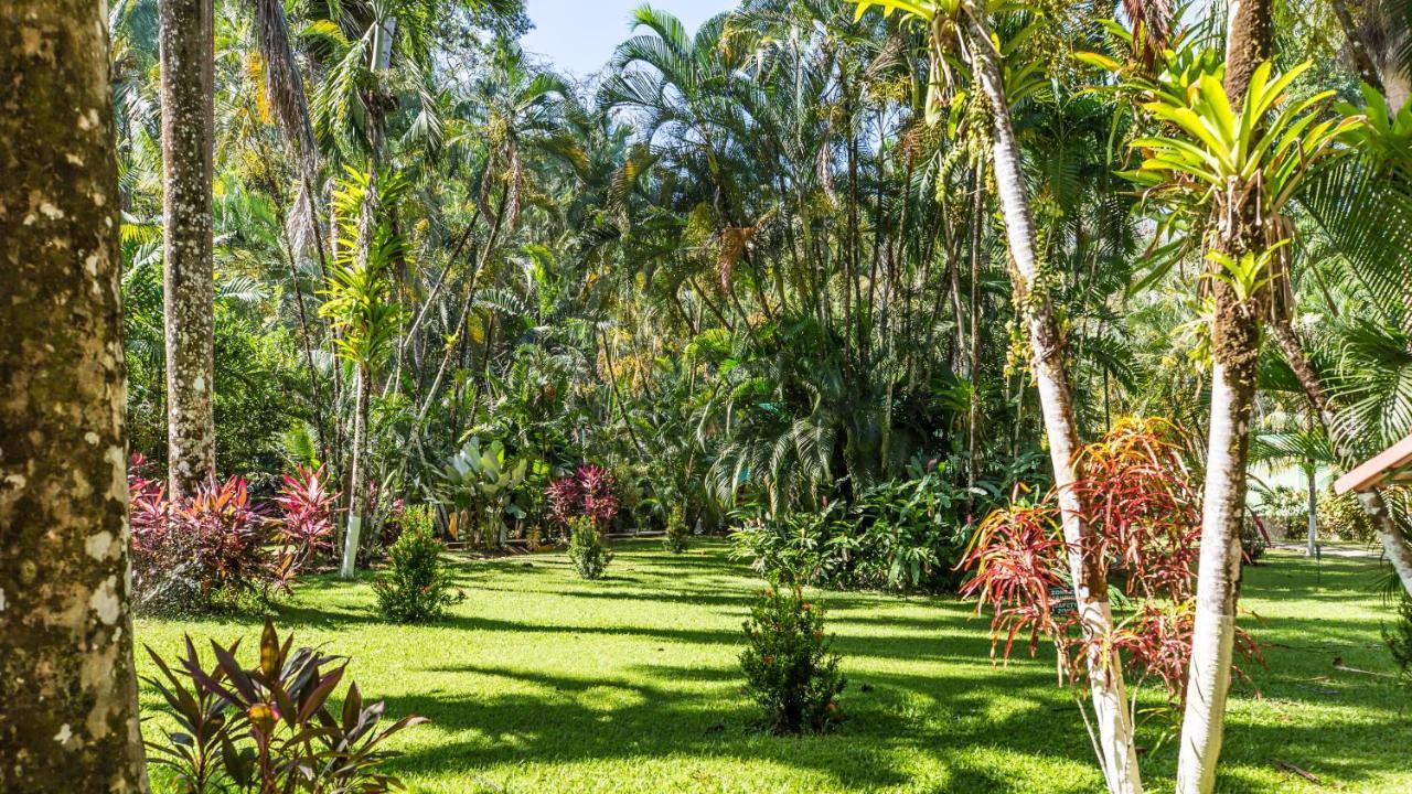 Hotel Villas Rio Mar Dominical Eksteriør bilde